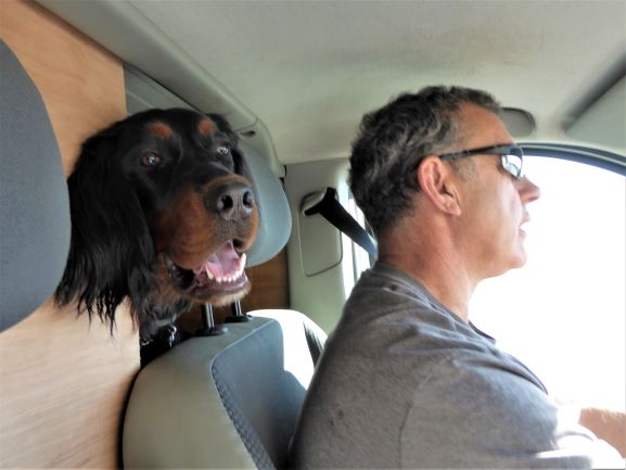 Our co-pilot !