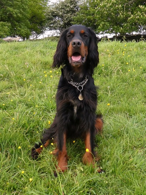 Now he's One Year !