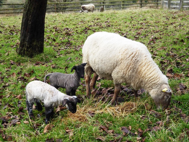 5 days old & really strong