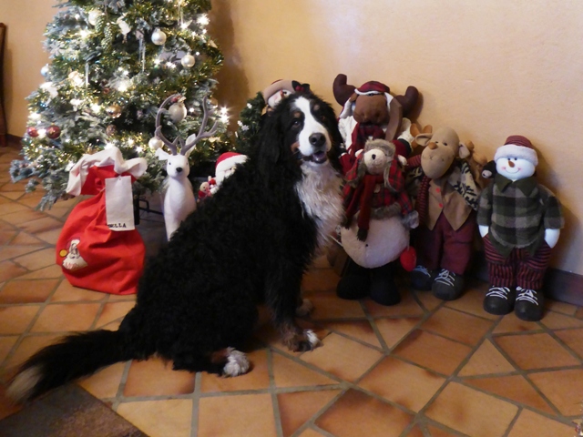 and from Della & friends too!