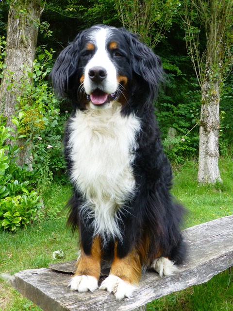 Della age 7