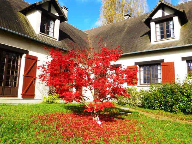 A real Indian Summer