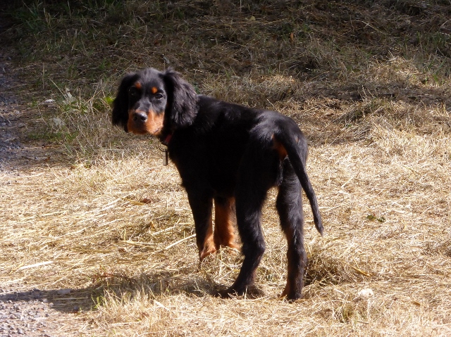 P1170133 (640x479)
